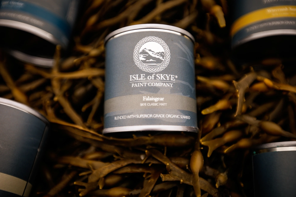 Falaisgear with Seaweed